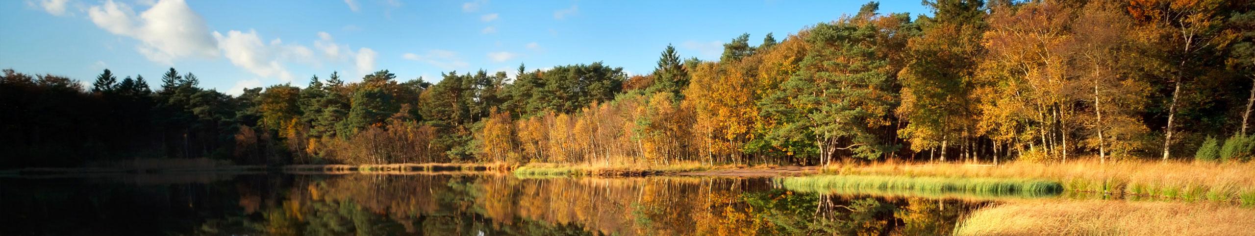 Banner Midweek weg Nederland